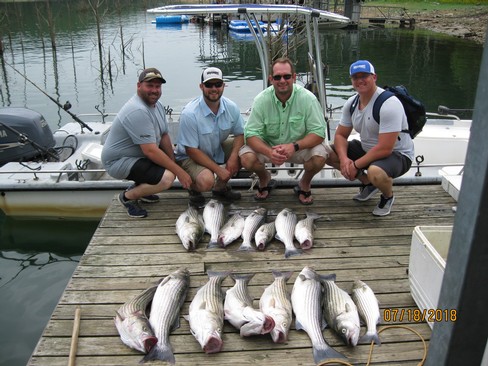 Nice Striped Bass